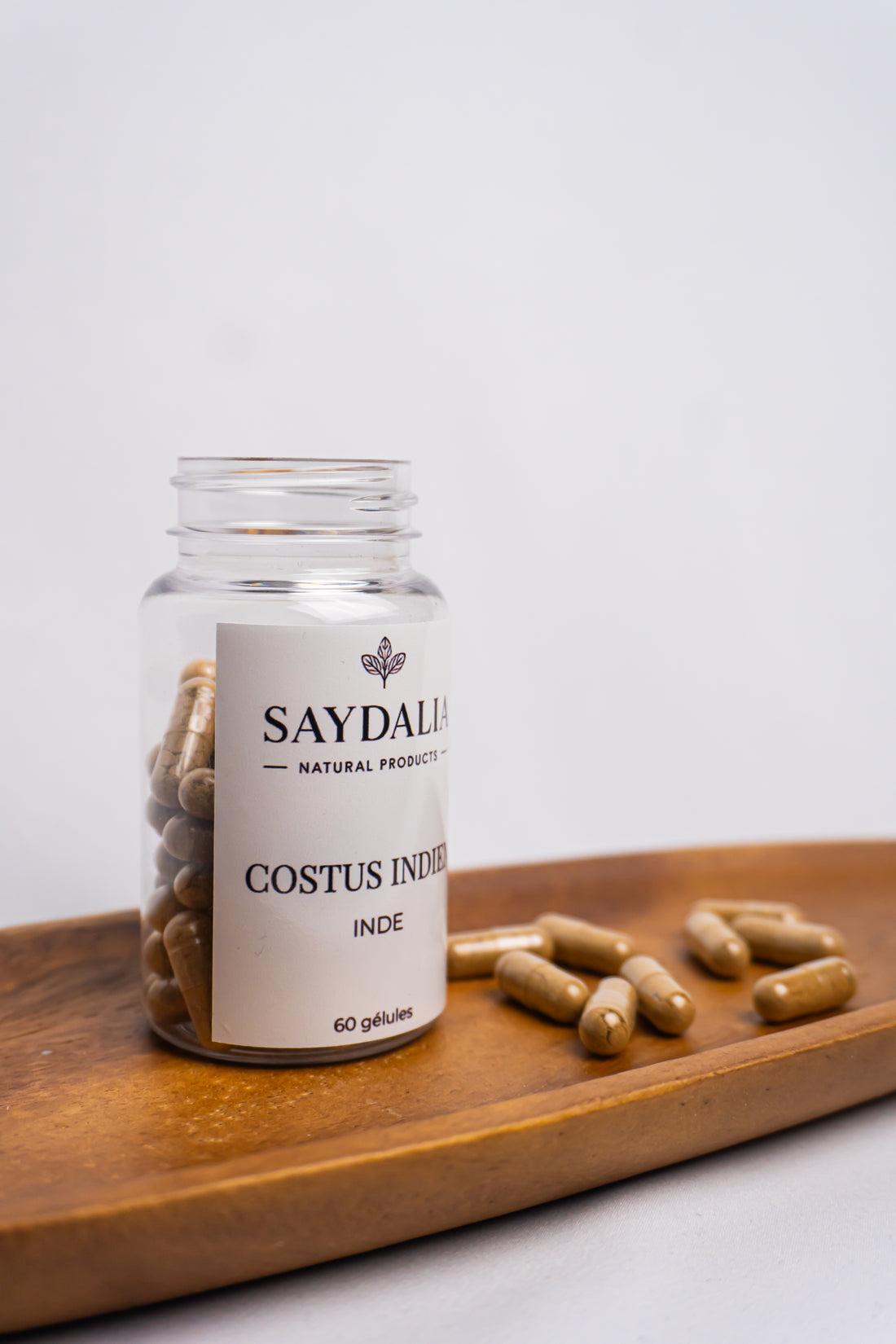 Costus Indien - 60 gélules